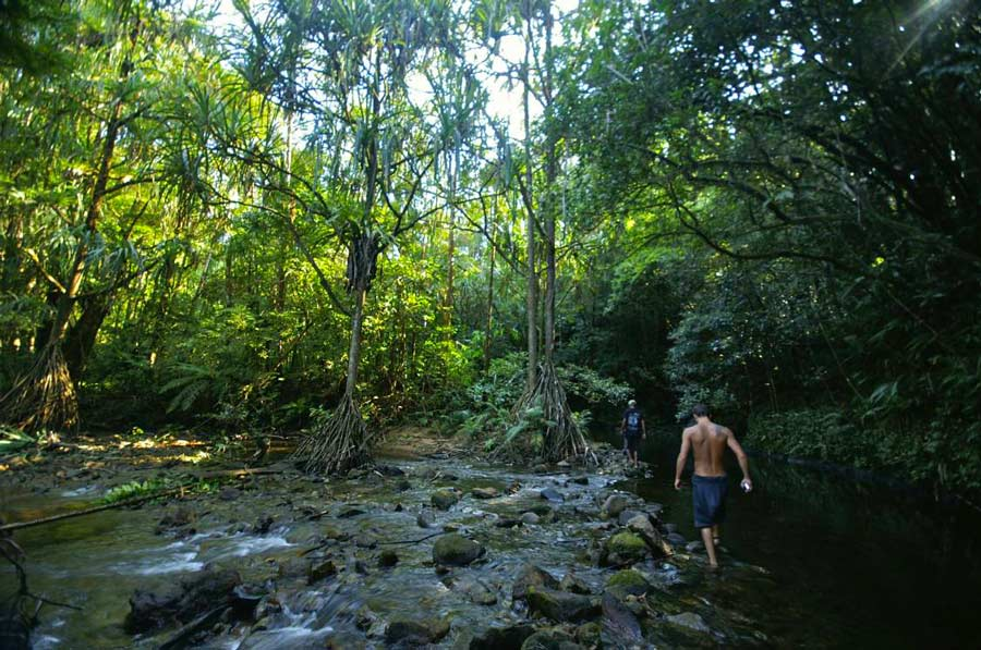 Image - Votre agence de voyage locale à Madagascar | Mada Expédition