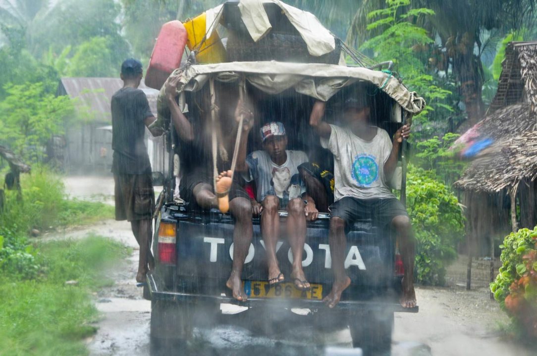 Mada Expeditions Trek Masoala Integral Ext Rn X - Votre agence de voyage locale à Madagascar | Mada Expédition
