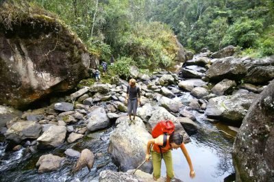 Image - Votre agence de voyage locale à Madagascar | Mada Expédition