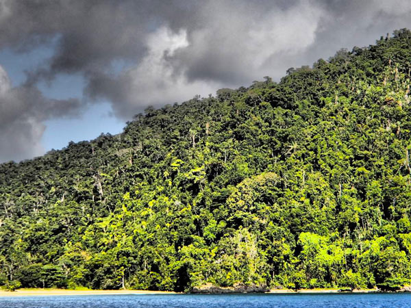 Image - Votre agence de voyage locale à Madagascar | Mada Expédition