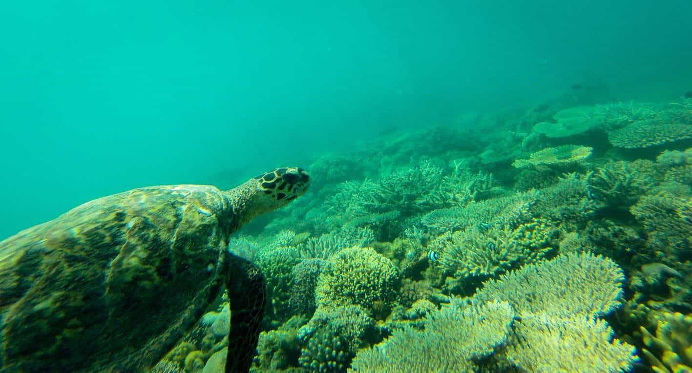 mada-expeditions-sainte-marie-slider-2